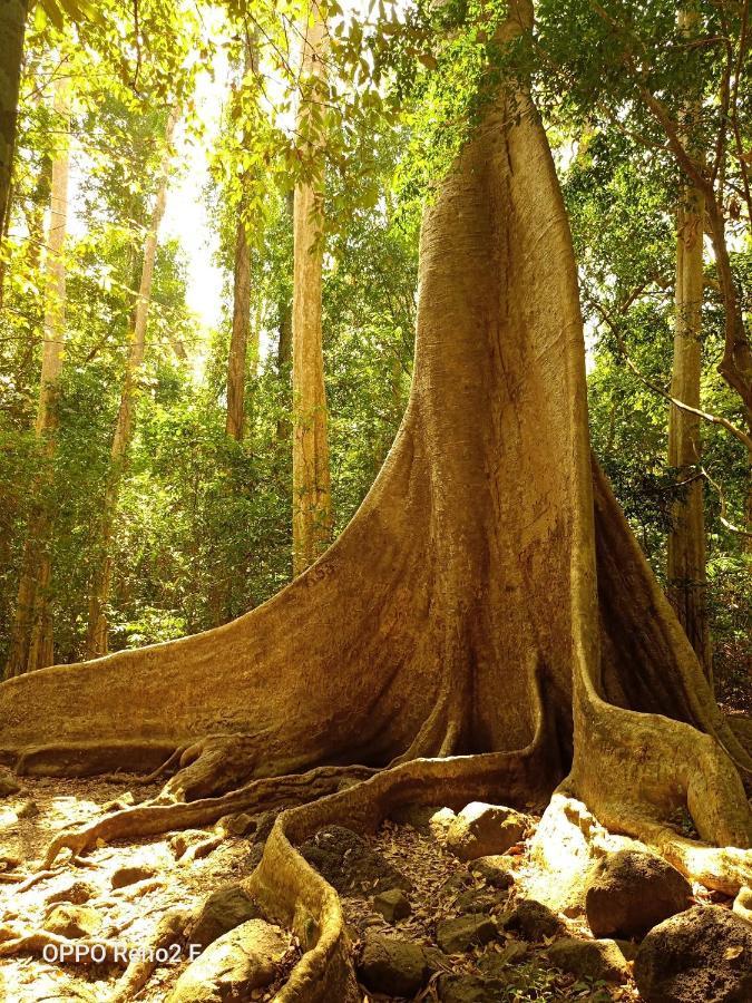Forest Breath Eco-Lodge Cát Tiên Dış mekan fotoğraf