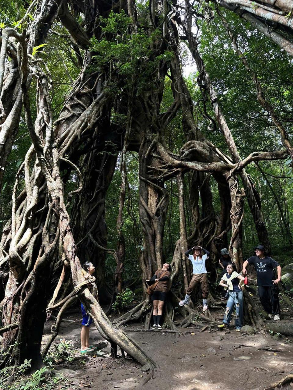 Forest Breath Eco-Lodge Cát Tiên Dış mekan fotoğraf