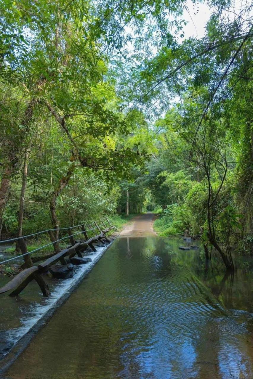 Forest Breath Eco-Lodge Cát Tiên Dış mekan fotoğraf